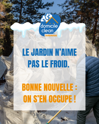 En janvier, le jardin est au repos… mais il reste fragile.