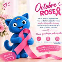 🎀 Octobre Rose 🎀
