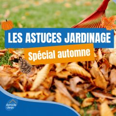 🍂 L'automne au jardin, ce n'est pas seulement ramasser les feuilles !